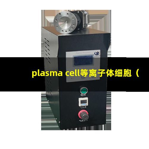 plasma cell等离子体细胞